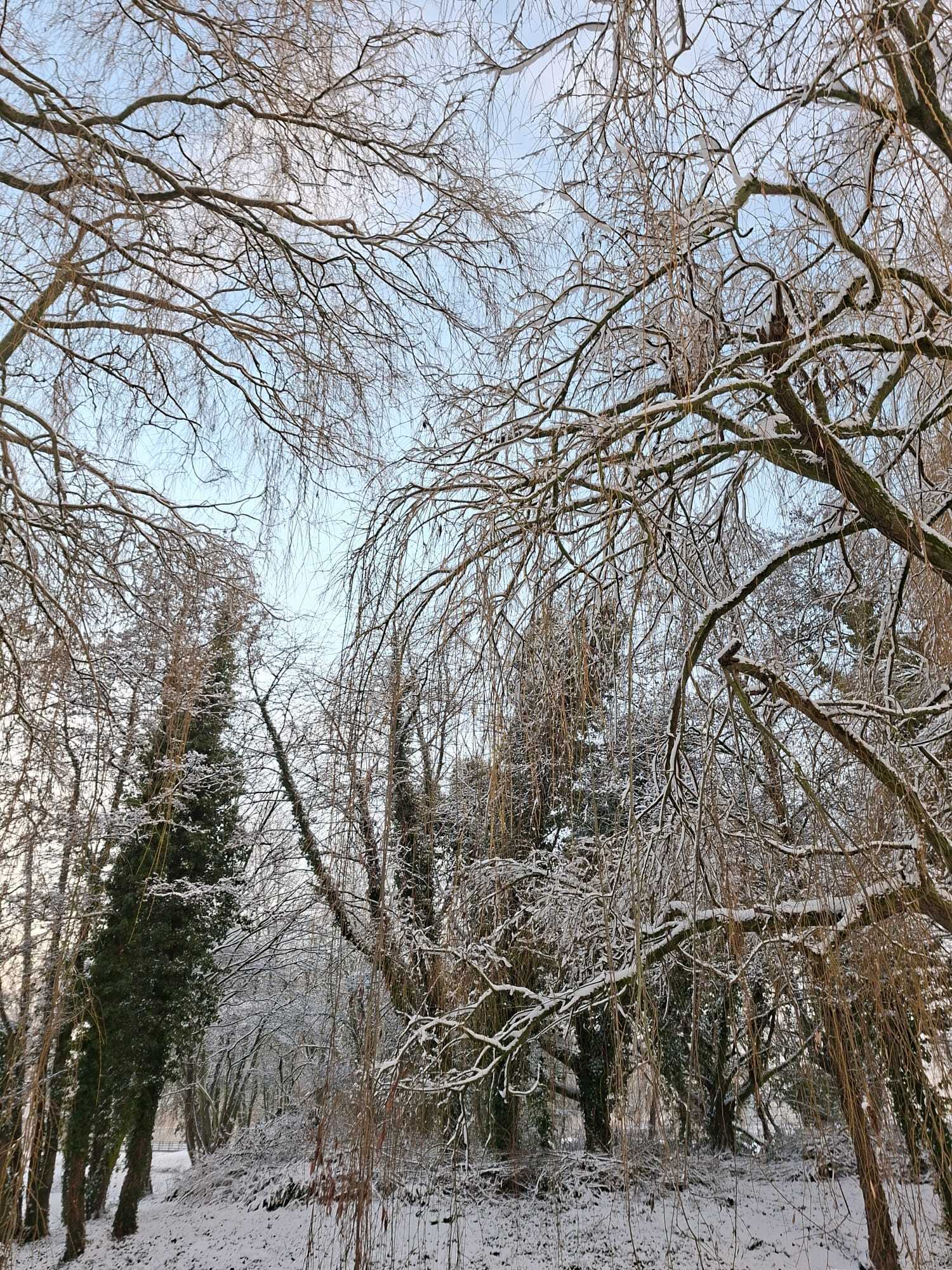 Gallery placeholder 1